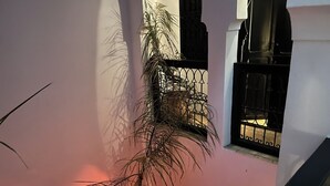 Une pièce avec un mur rose, une fenêtre ornée d’une grille en métal et une plante.