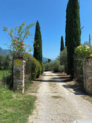 Un camino de grava que conduce a una entrada porticada con pilares de piedra y un letrero, rodeada de altos cipreses y plantas en flor.