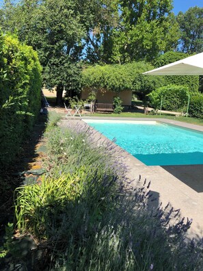Una piscina rodeada de exuberante vegetación y una terraza de madera con mobiliario exterior.