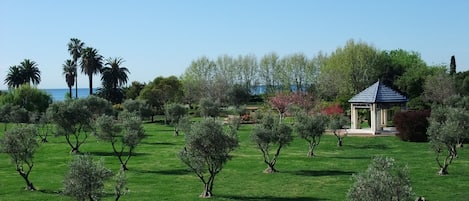 Área da propriedade