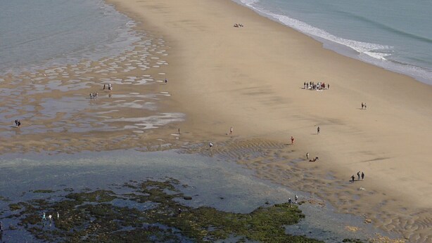 Une plage dotée d’un large rivage sablonneux, d’une eau calme et de bâtiments situés au loin.