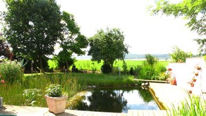 Une terrasse en bois avec un étang, entourée d’une végétation luxuriante et offrant une vue sur un champ verdoyant.