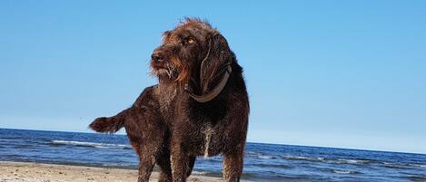 Playa en los alrededores