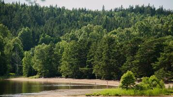 Un paisaje natural con un río, bosque denso y una zona de playa arenosa.