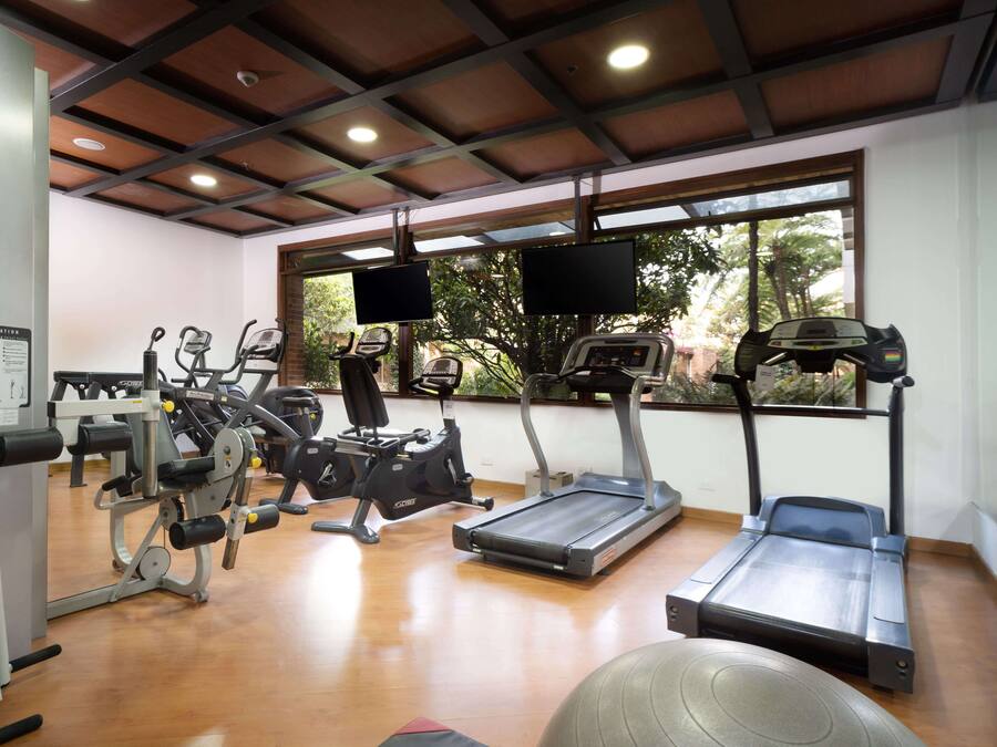 A gym with cardio machines, weight equipment, and a large window with a view of greenery.
