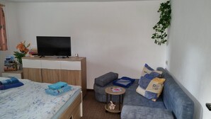 Una habitació amb un llit, un sofà, una taula petita, un televisor i una planta.
