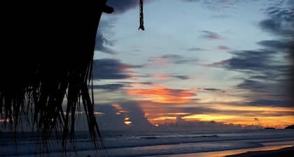 Wild Waves Surf-House