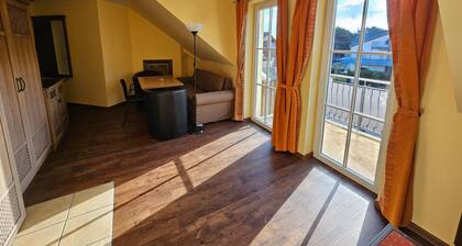 Asunto tyyppi 12 - rantahotelli Karl Hagen