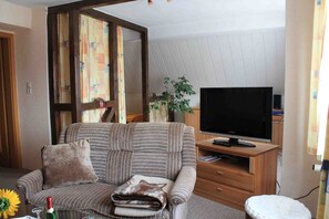 Télévision