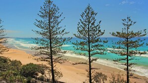 A beach with clear turquoise waters, sandy shores, and three prominent pine trees in the foreground.