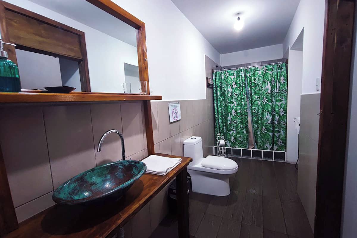 family room | bathroom | shower, rainfall showerhead, free toiletries, hair dryer