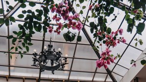 A covered balcony with wooden railings, a wrought iron chandelier, and potted plants. - Hotel Casa Alquimia (Quito)