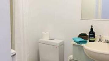City Apartment, 1 Double Bed, Non Smoking | Bathroom | Shower, free toiletries, hair dryer, towels