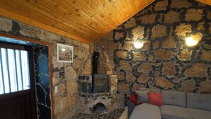 Une pièce chaleureuse avec un mur en pierre, un plafond en bois, une cheminée intégrée et un canapé gris.