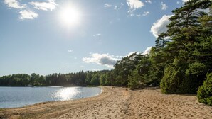 A sandy beach with a lake, surrounded by dense trees and a clear sky.