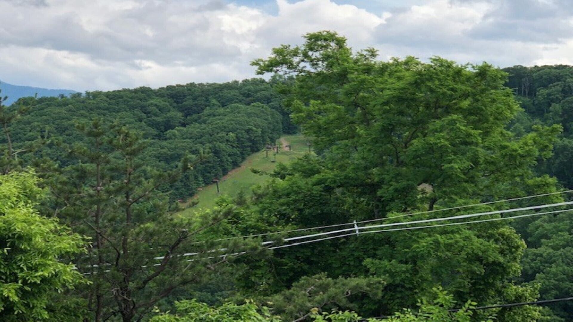 A lush green landscape with dense trees and a hilly terrain.