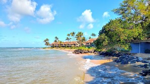 Una propiedad frente a la playa con varias casas, una costa rocosa y palmeras.
