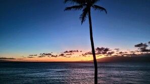 På stranden