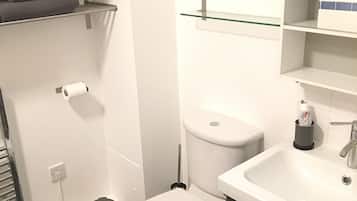 Hair dryer, towels, shampoo, toilet paper