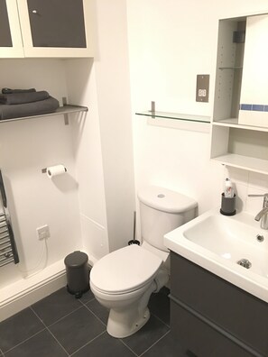 Secador de pelo, toallas, champú y papel higiénico
