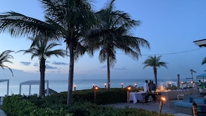 A beachfront restaurant with outdoor seating, palm trees, and a view of the ocean.
