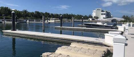 A marina with boats docked, a bridge in the background, and a Hilton hotel nearby.
