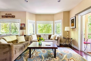 TV connectée, cheminée, livres, chaßne hi-fi