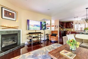 スマートテレビ、暖炉、書庫、ステレオ