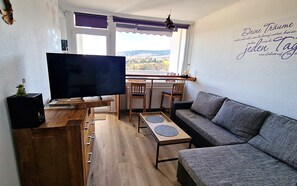 TV, video games, DVD player, video library