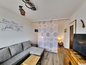 電視、電子遊戲、DVD 播放機、影像庫