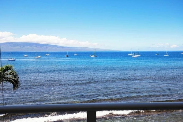 A coastal view with several sailboats on calm waters, a clear sky, and a distant mountain range.
