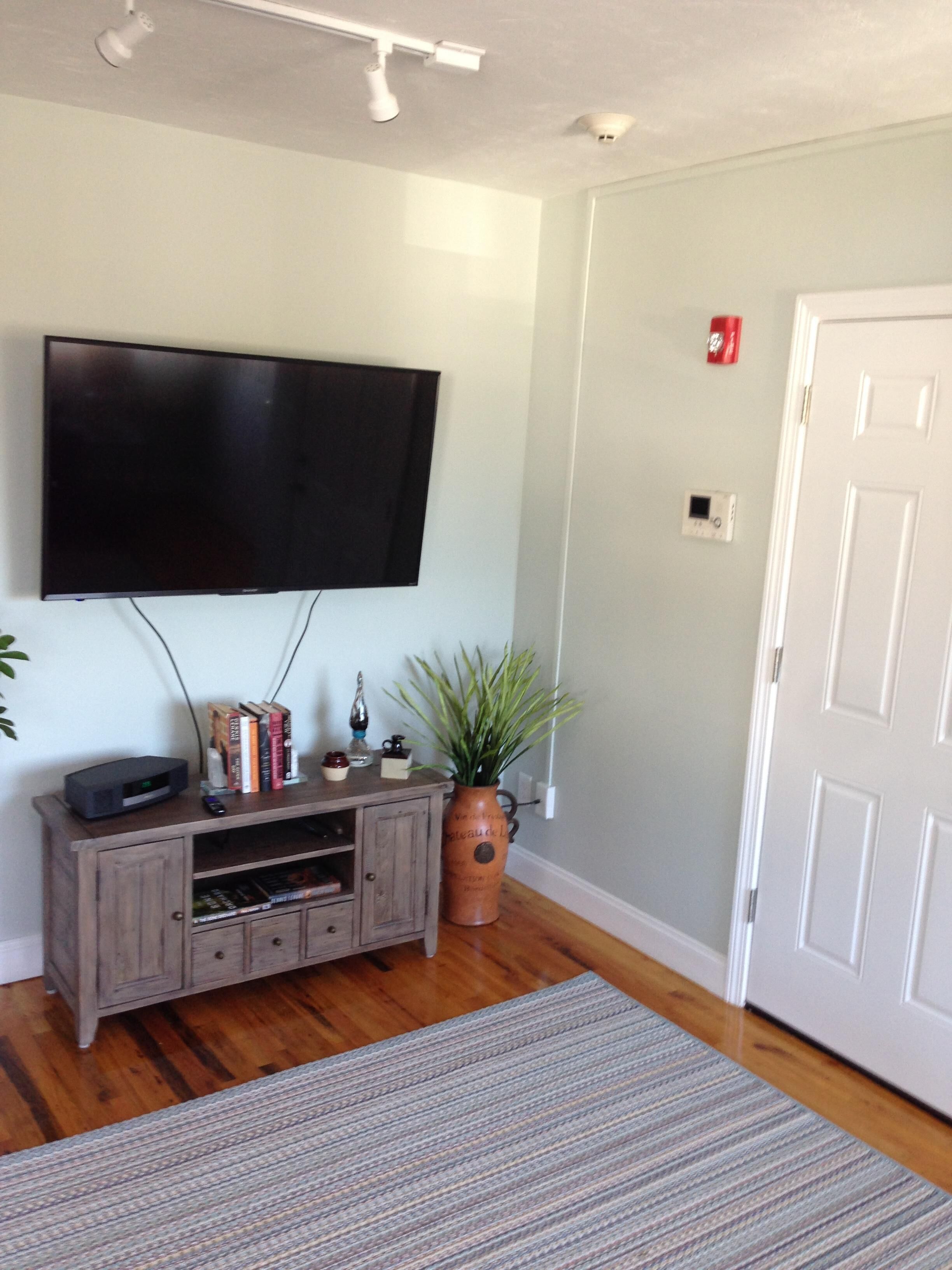 A living room with a flat-screen TV mounted on the wall, a wooden entertainment center, a potted plant, and a white door.