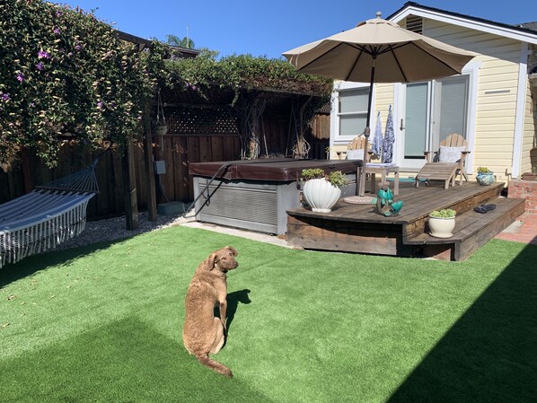 Restauration en plein air