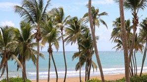 A beach with palm trees and a view of the ocean. -  Beautiful beachfront villa at the Wyndham Grand R Mar Rainforest Beach Resort  (Rio Grande)