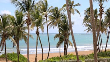 On the beach, sun-loungers, beach towels