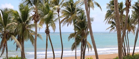 Sulla spiaggia, lettini da mare, teli da spiaggia
