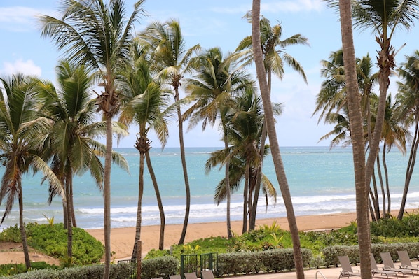 On the beach, sun loungers, beach towels