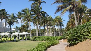 A pathway lined with palm trees, a grassy area with lounge chairs, and a beach area with umbrellas. -  Beautiful beachfront villa at the Wyndham Grand R Mar Rainforest Beach Resort  (Rio Grande)