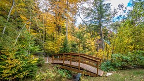 Een houten brug in een bebost gebied met herfstkleuren.