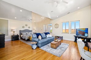 TV, fireplace, books