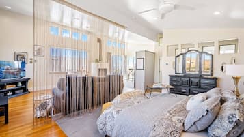 TV, fireplace, books