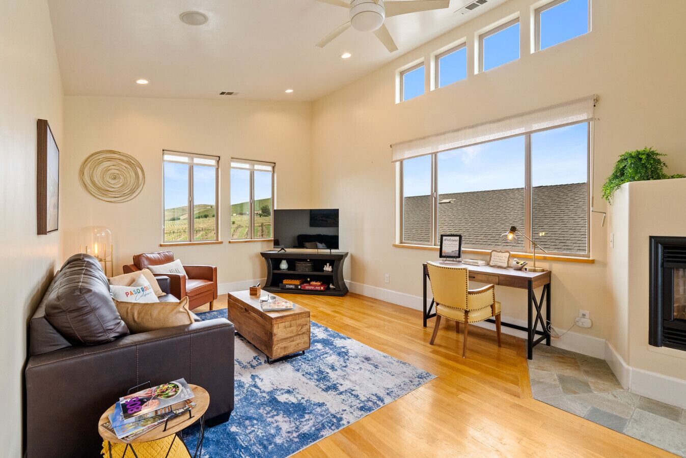 TV, fireplace, books