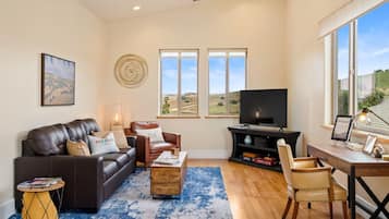 TV, fireplace, books