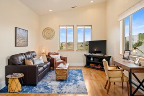 TV, fireplace, books