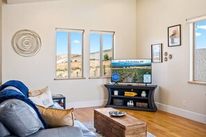 TV, fireplace, books