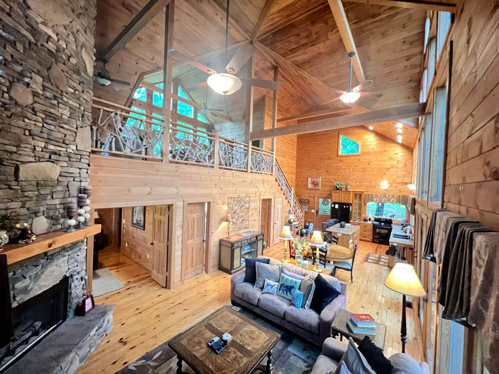 Televisión, chimenea, reproductor de DVD y libros 