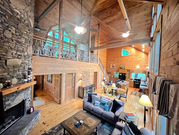 Televisión, chimenea, reproductor de DVD y libros