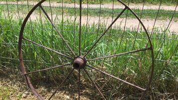 Una verja de metal oxidada en un campo con hierba alta y un camino de tierra.