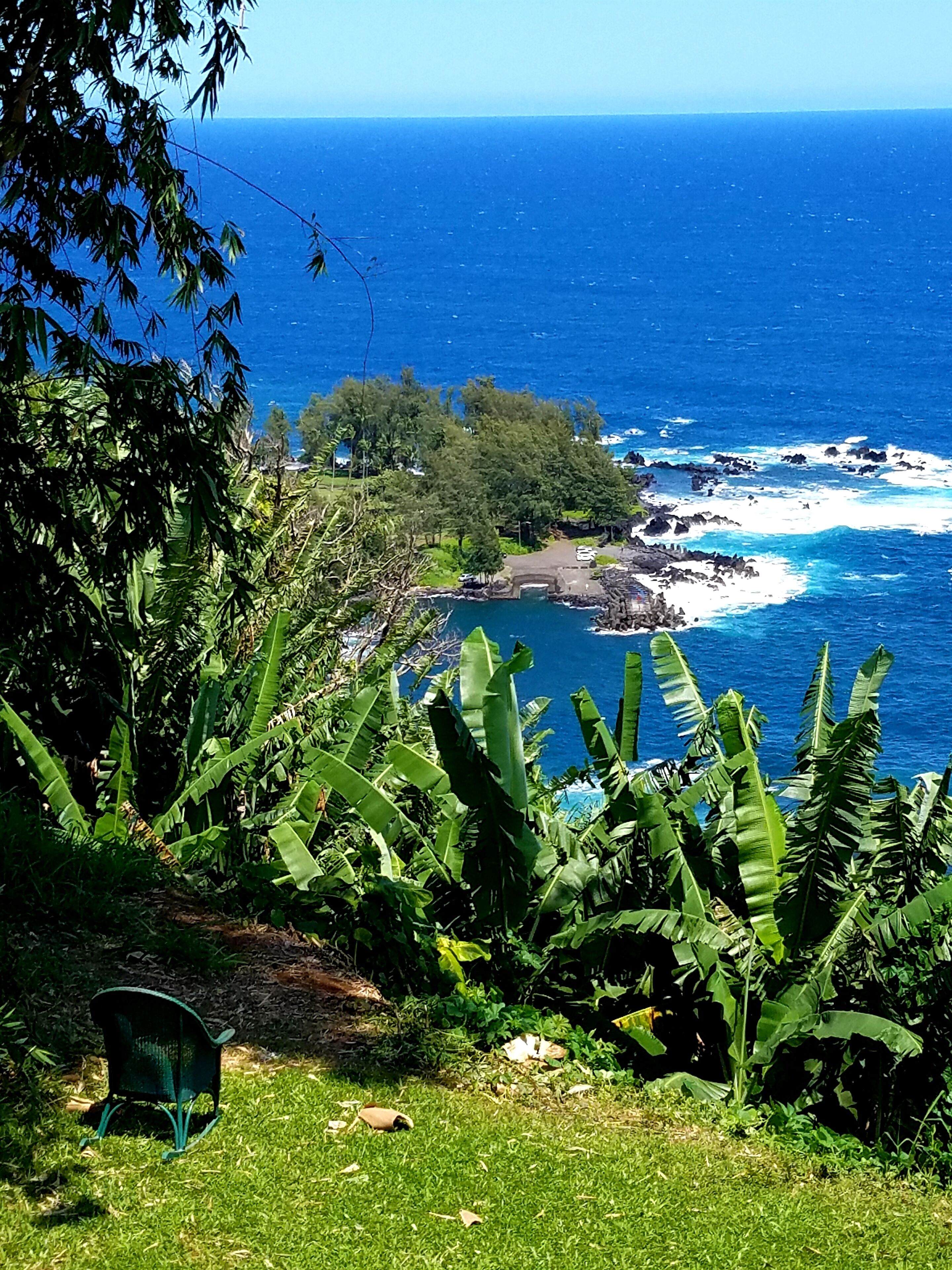 A view of a coastal area with dense vegetation, a chair, and the ocean in the background.