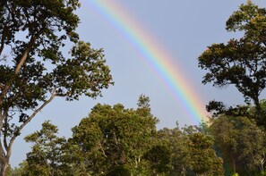 Unclassified image, 4 of 14, button